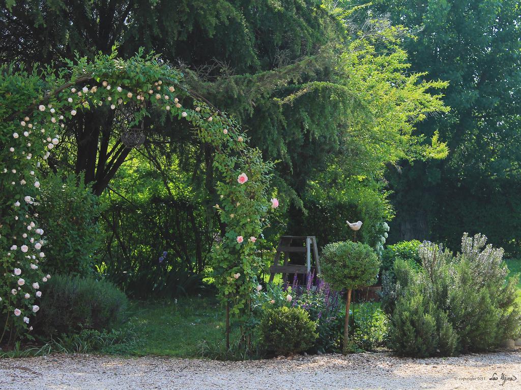 La Vigna B&B Treviso Exterior photo